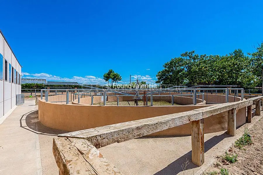 An exceptional commercial exquestrian facility in Chiva