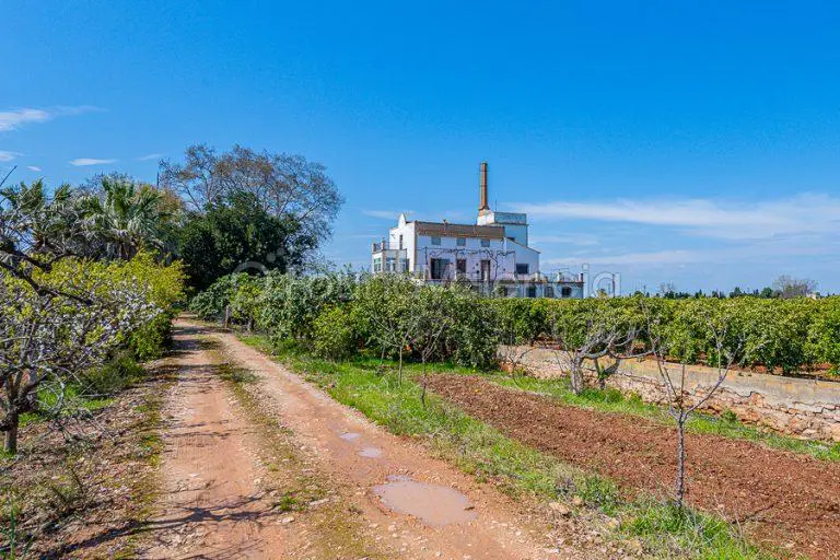 Farm for sale in Benifaió Valencia