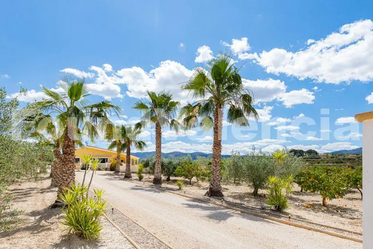 House in complete tranquility in Bufali, Valencia