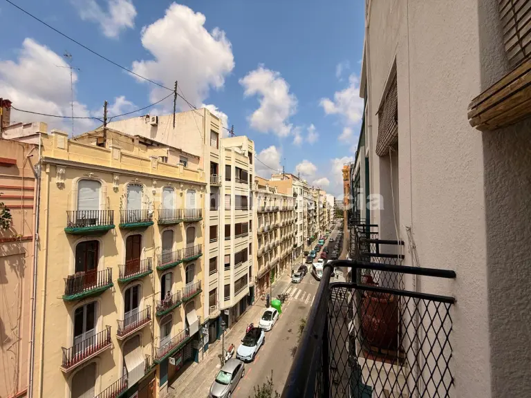 Spacious and bright apartment in El Botánico neighbourhood