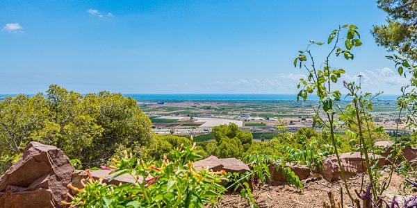 337124-valencia-villas-3-of-30