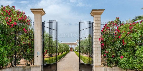 352131-masias-en-venta-en-valencia-espana-27-of-27