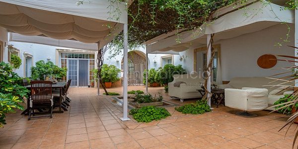 352137-masias-en-venta-en-valencia-espana-22-of-27