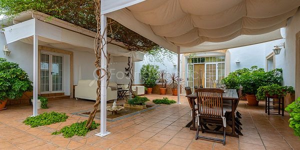 352138-masias-en-venta-en-valencia-espana-20-of-27