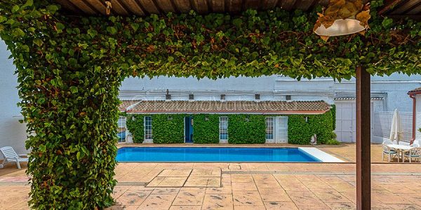 352145-masias-en-venta-en-valencia-espana-12-of-27